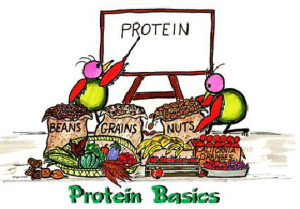 protein1